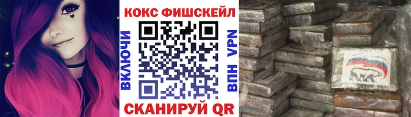 COCAIN Fish Scale  Купить  Алупка 