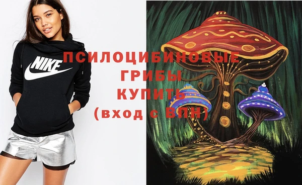PSILOCYBIN Гусиноозёрск