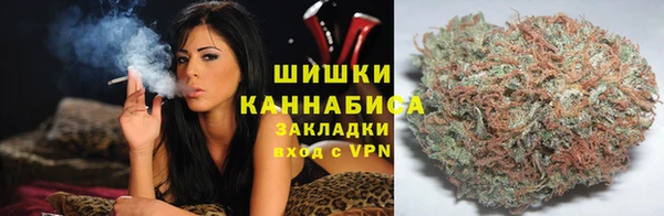 PSILOCYBIN Гусиноозёрск